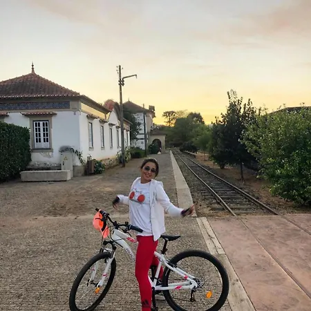 Vakantiehuis Batoca By Burra Velha - Private House Celorico De Basto